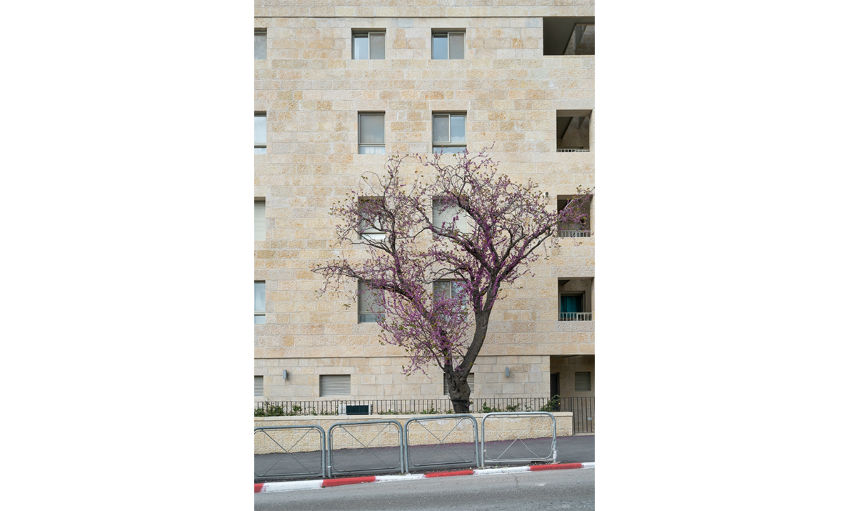גד 13
